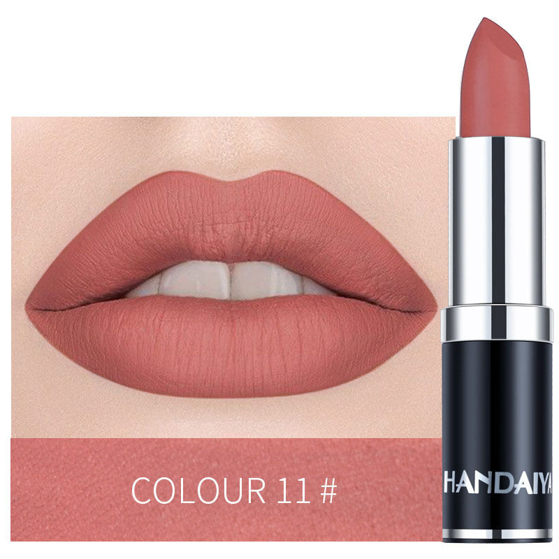 Waterproof Long Lasting Matte Lipstick Cosmetic Makeup Liquid Lip Gloss, 12 Colors Contain Plant Squalene